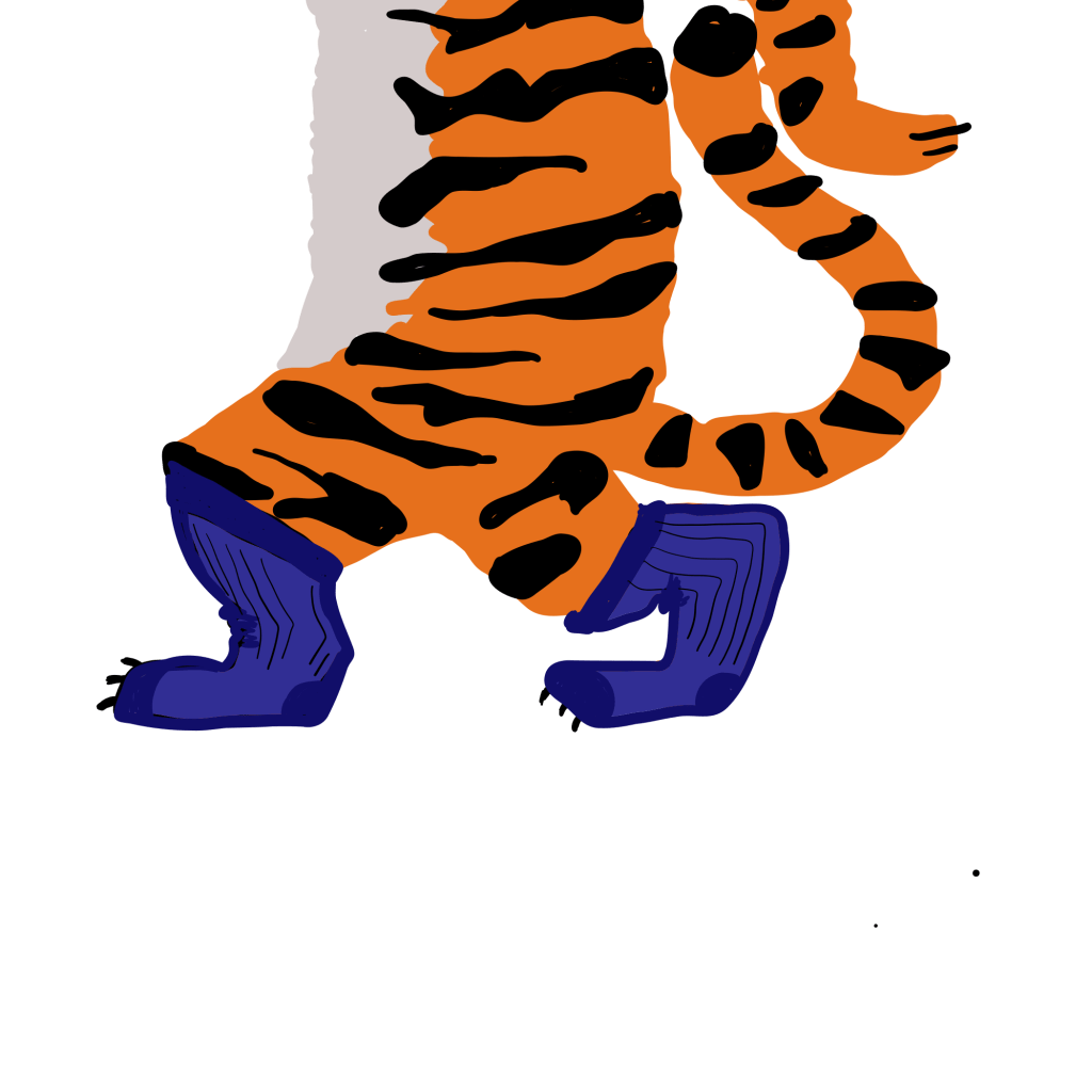 選擇長板的指南：讓你不再買錯